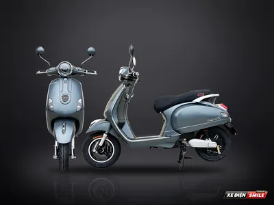 Dibao Pansy S2 (Càng Nhôm)