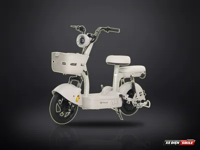 TAILG JY33 Mini Bike