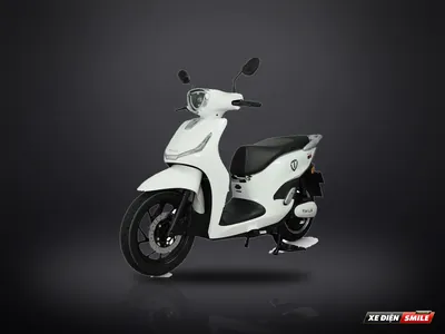 TAILG T61